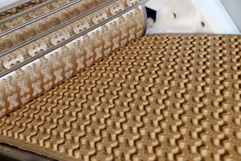 Equipos de Producción en Línea para la Fabricación de Premios para Mascotas